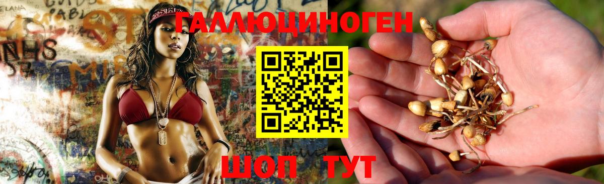 Орёл  Галлюциногенные грибы Magic Shrooms  Вход с VPN 